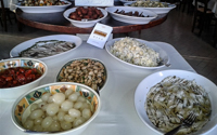 foto della Trattoria Terranova a Lampedusa
